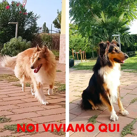 Solo Voi Due